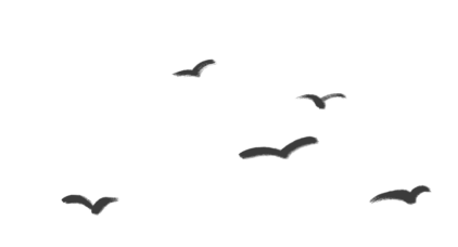 徽州歙砚非遗鉴赏文章首图
